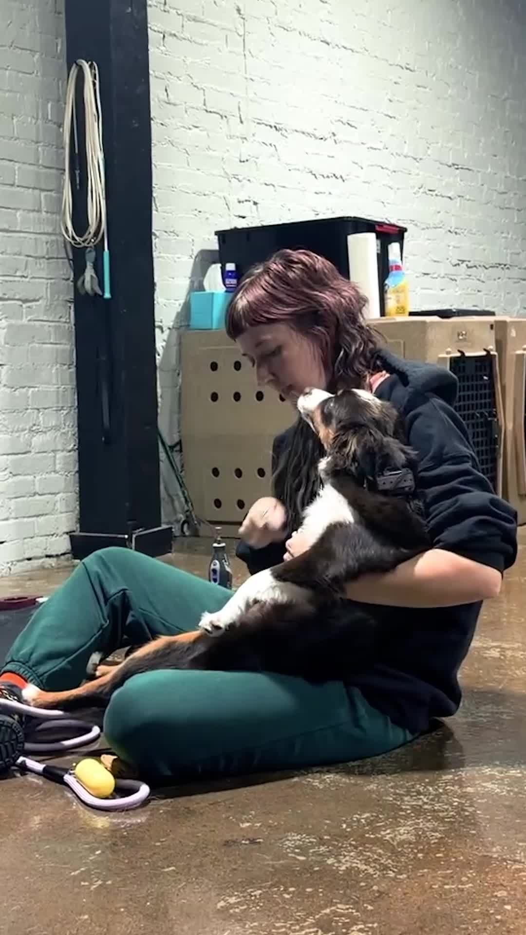 @Miracle K9 Training