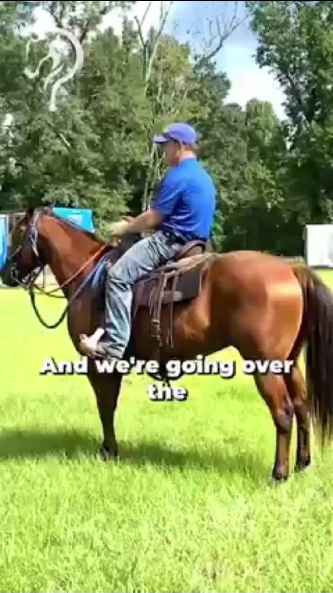 @Horse Help