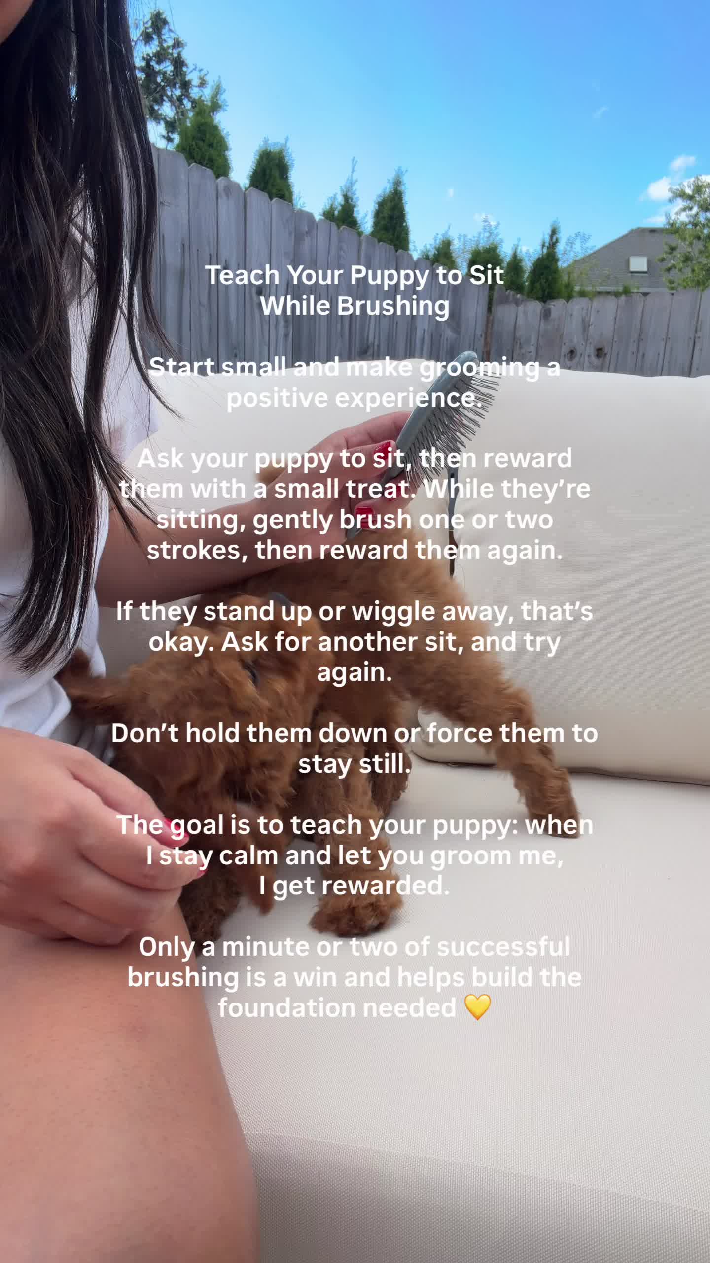@Pupwell