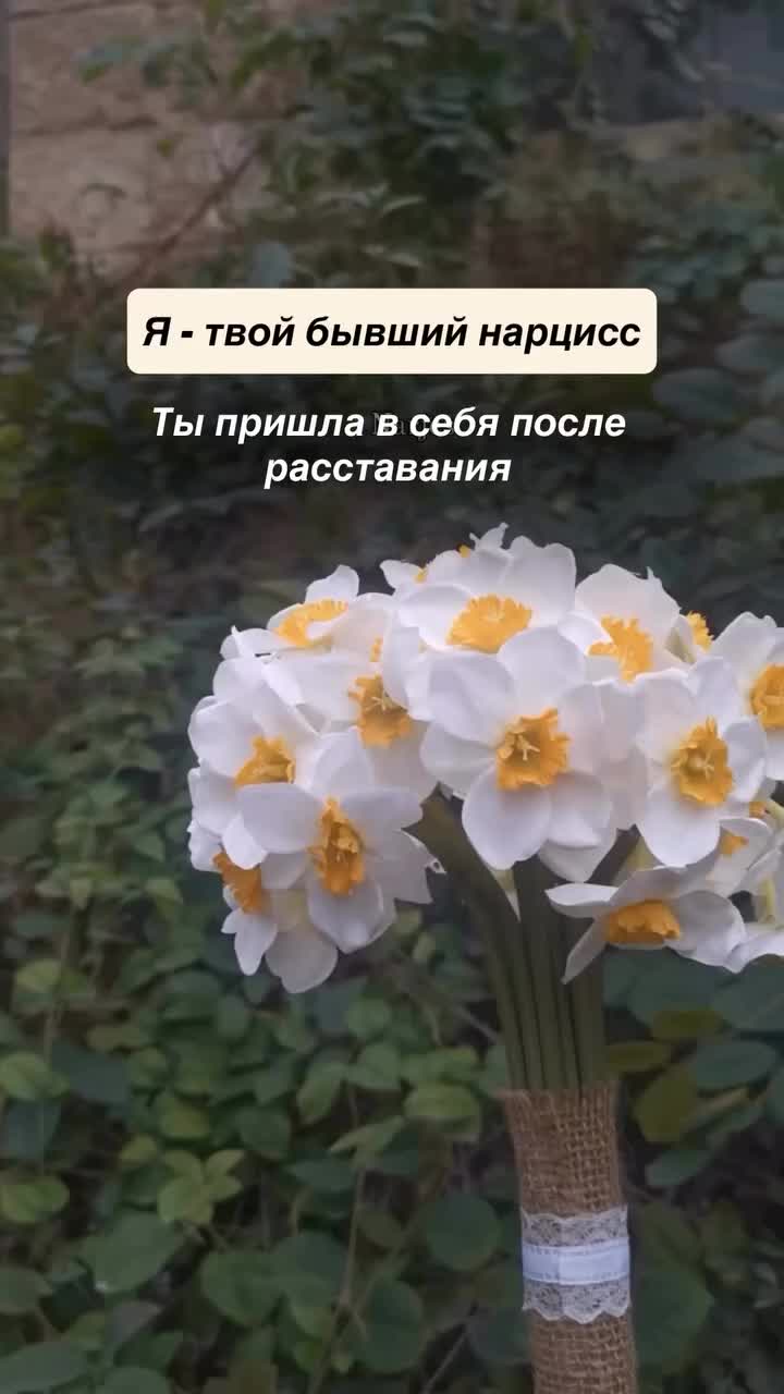 @Tgk Psy_Loktionova