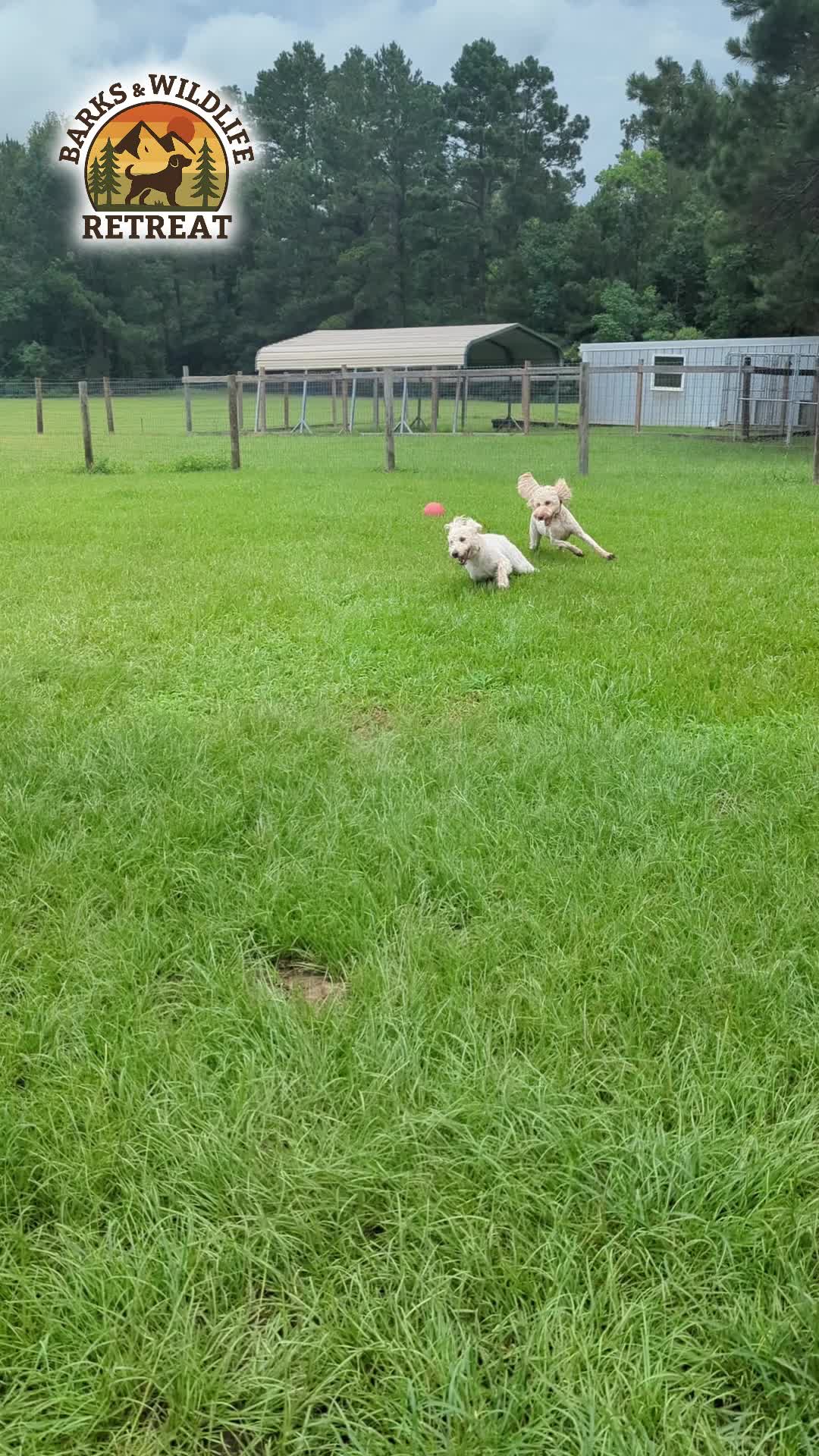 @Barks & Wildlife Longville LA