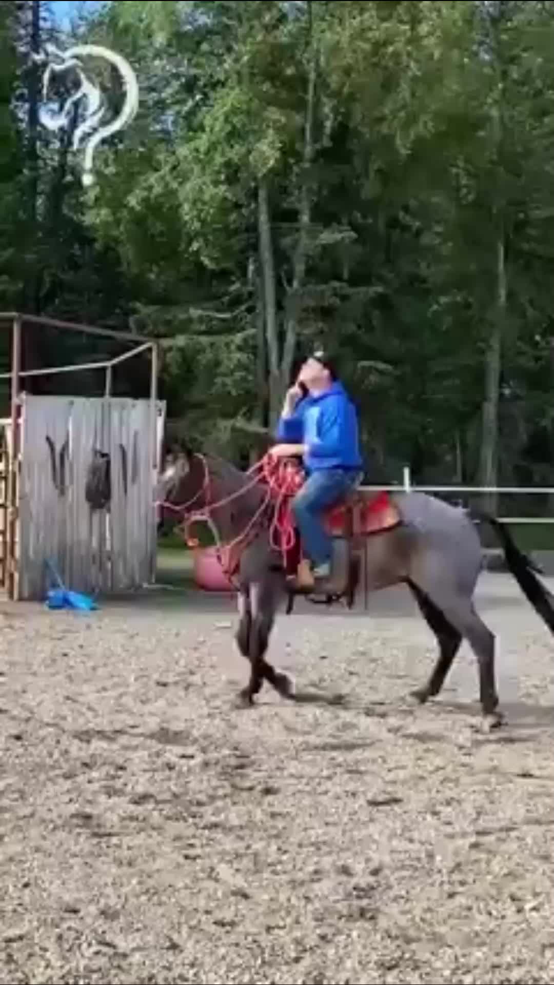 @Horse Help