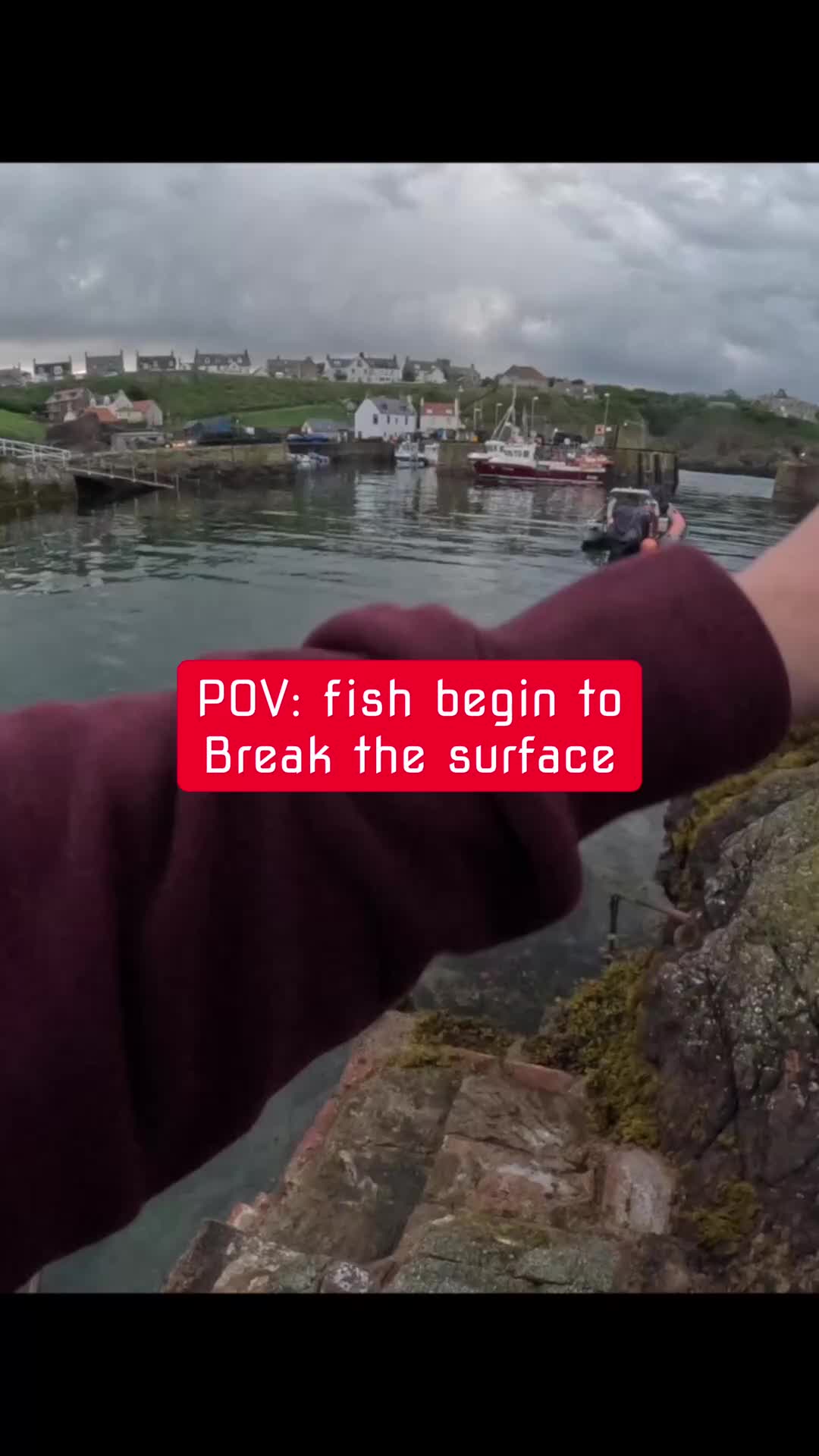 @fishingshaun