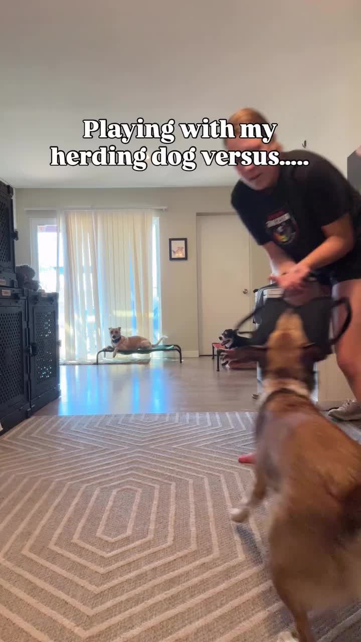 @Marissa | Kota & Aspen