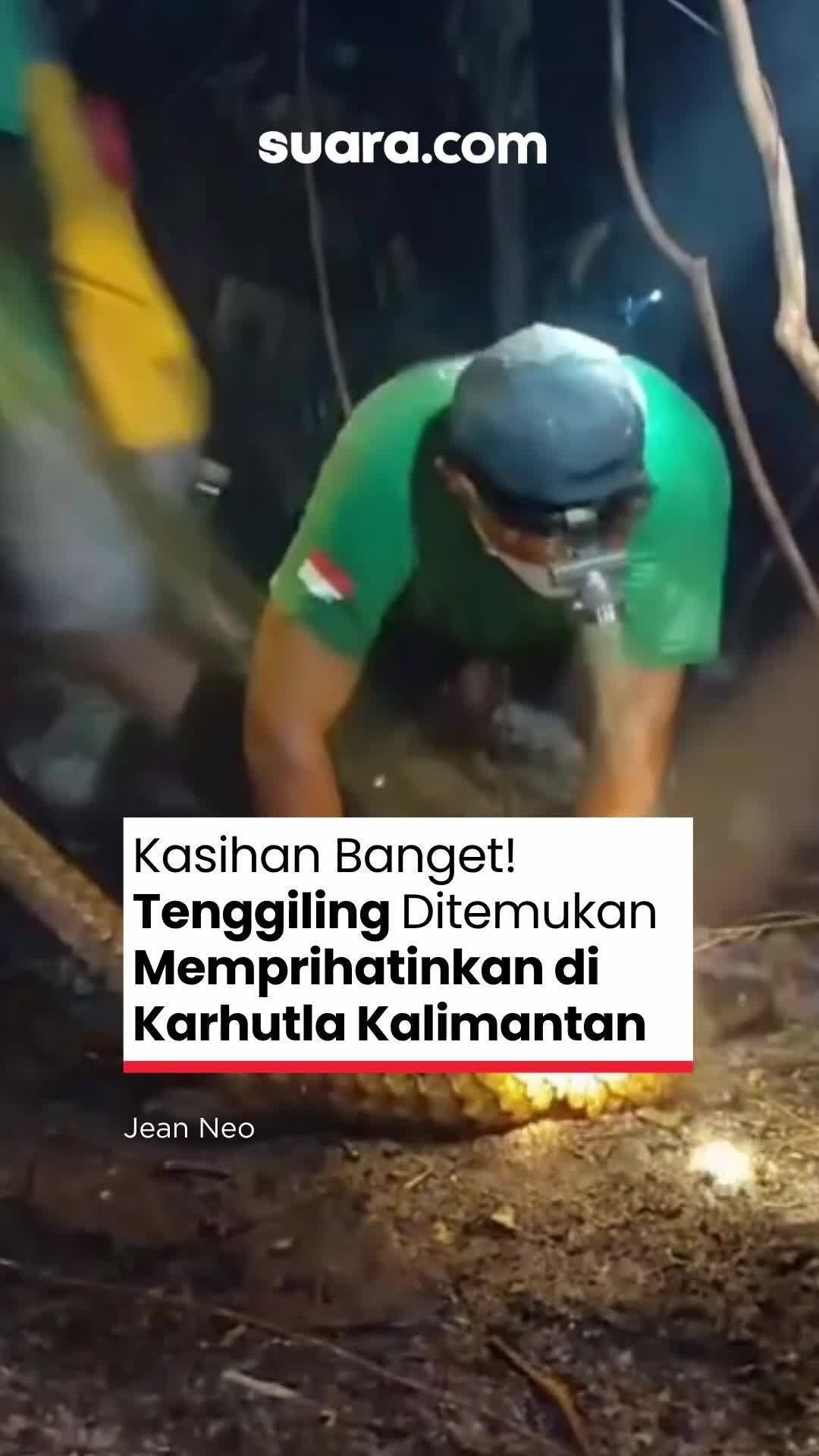 @Suaradotcom