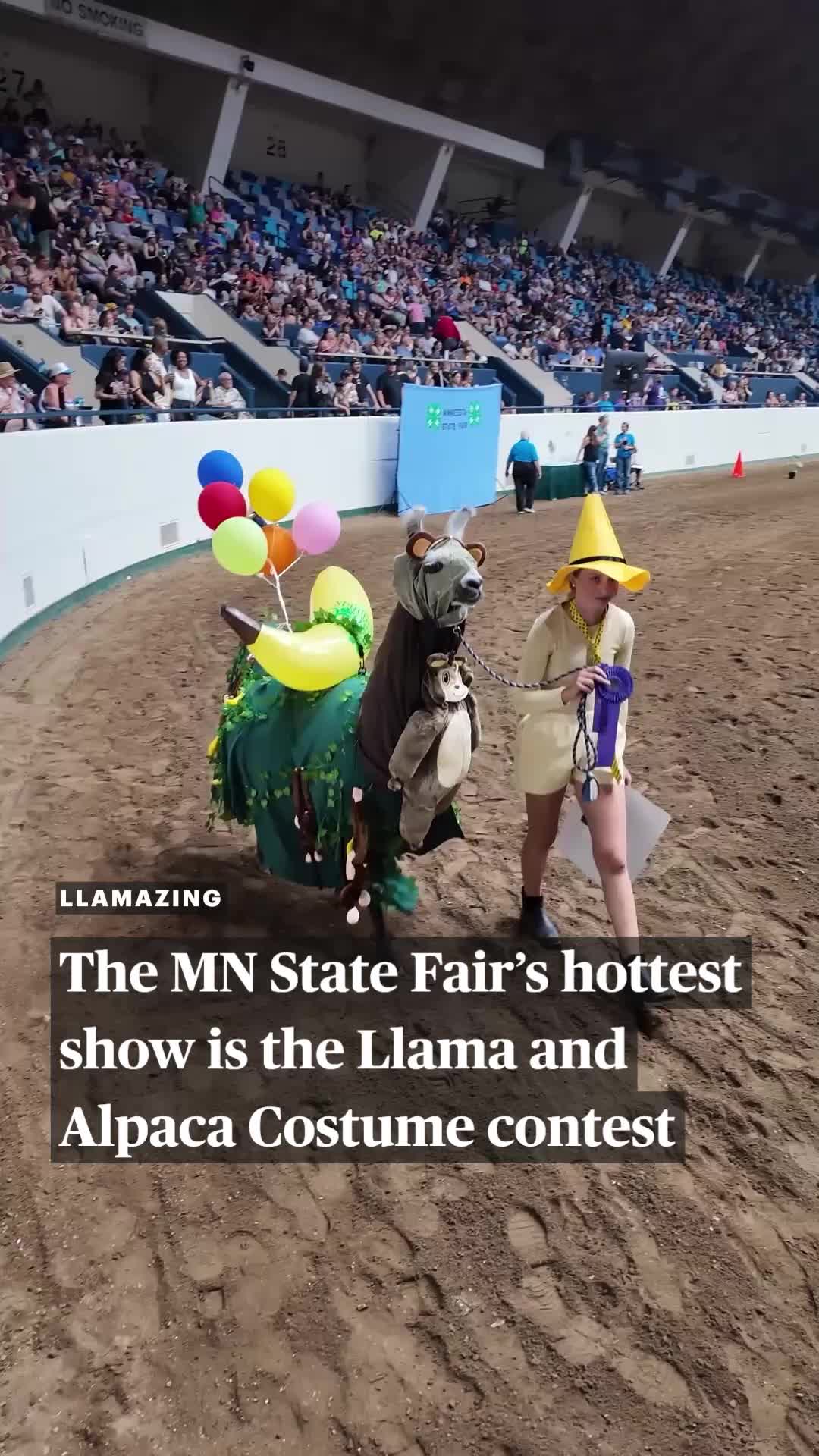 @Minnesota Star Tribune