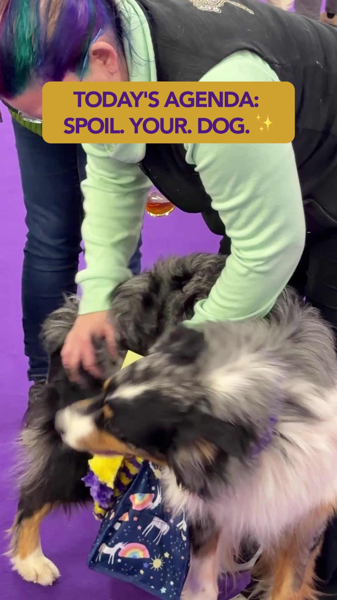 @Westminster Kennel Club