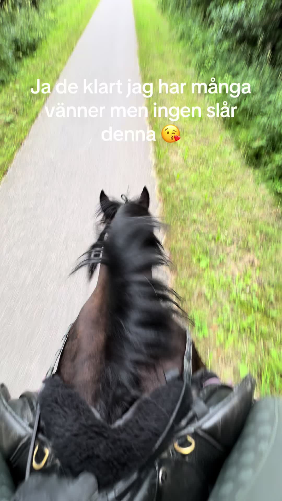@🇸🇪🦄𝓔𝓵𝓲𝓷 𝓔𝓭𝓺𝓿𝓲𝓼𝓽