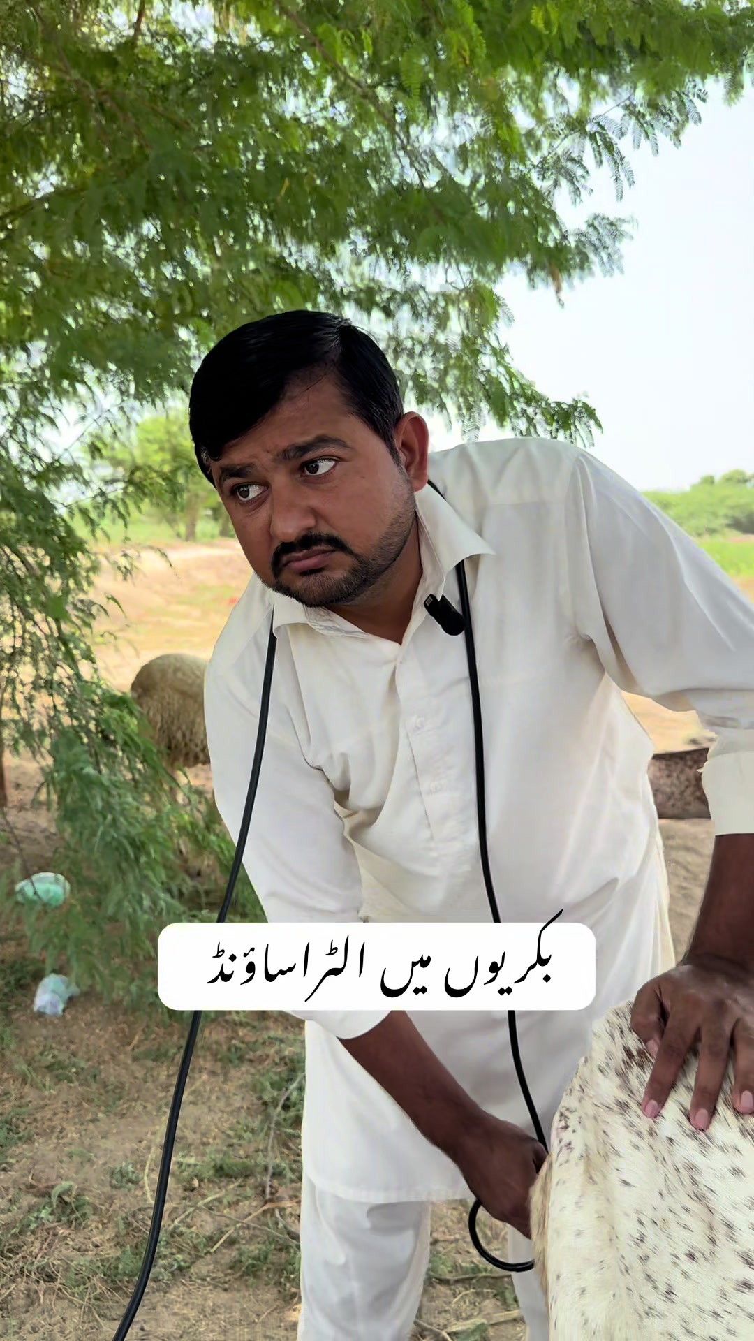 @vet.dr.mohsin4800