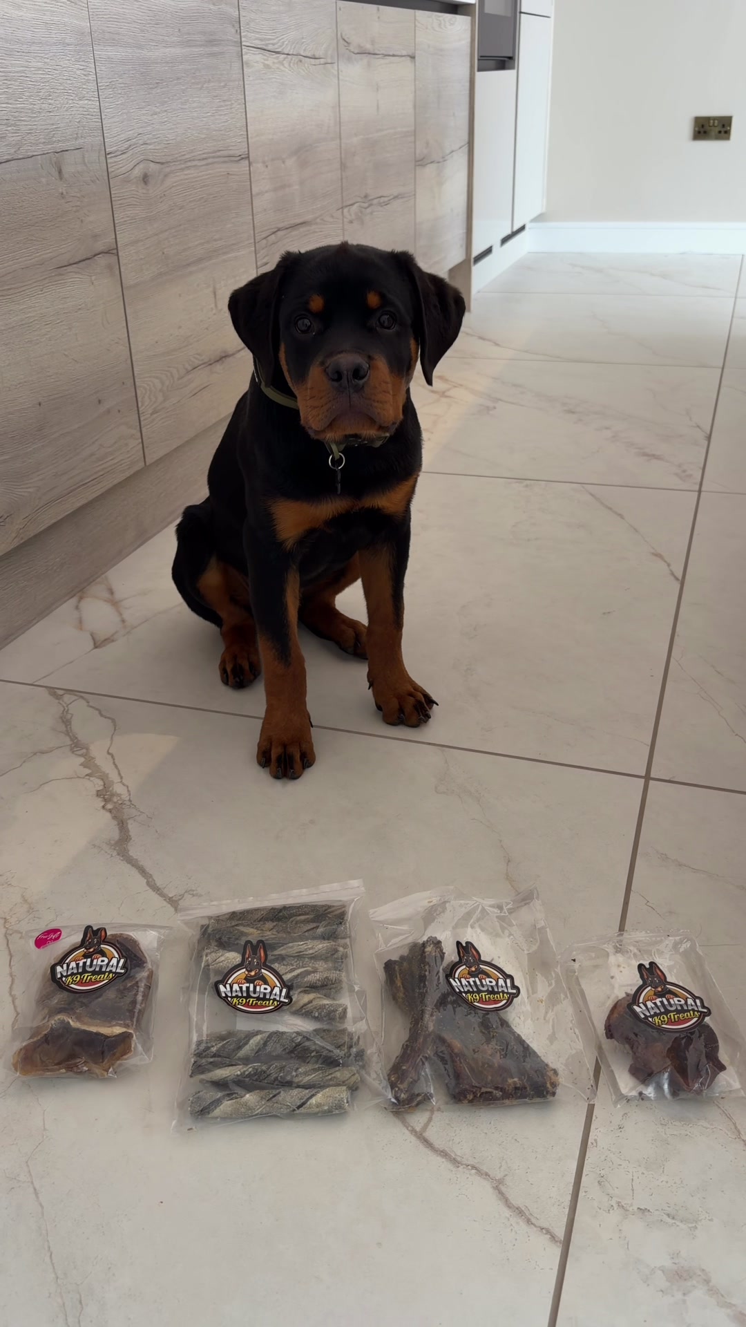 @Ronnie 🐾🤎