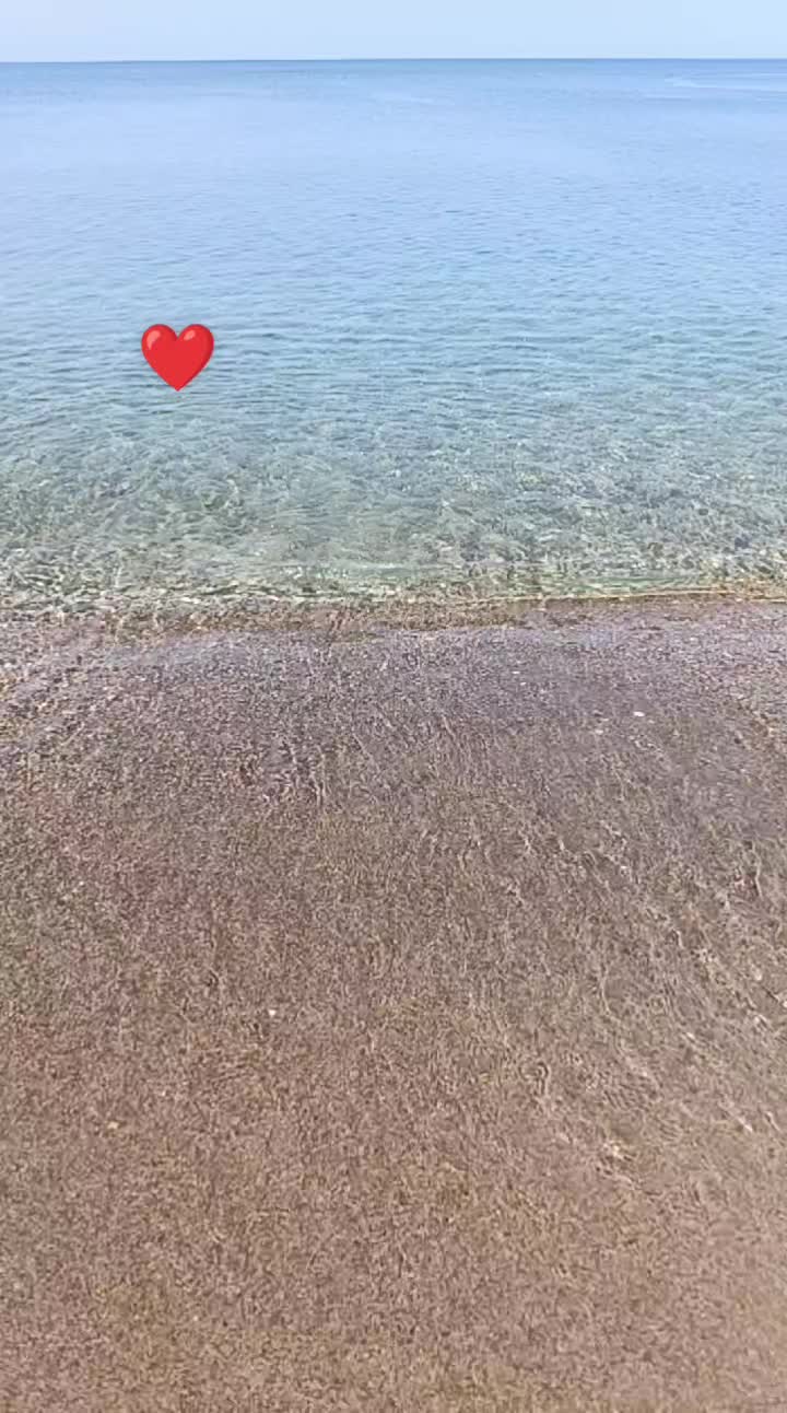@rosacotromino