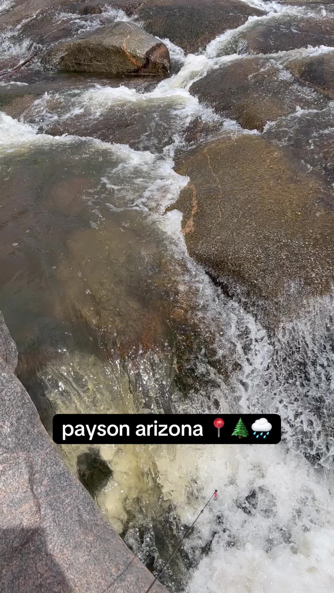 @David explore Arizona 🌲🎣