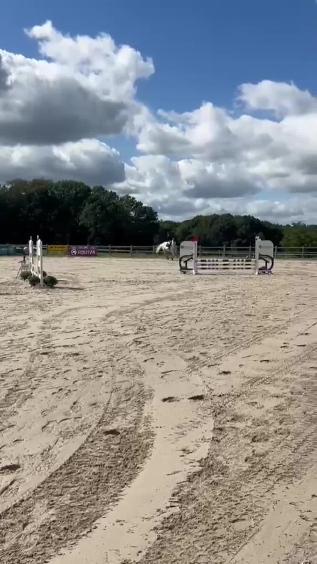 @L.S.