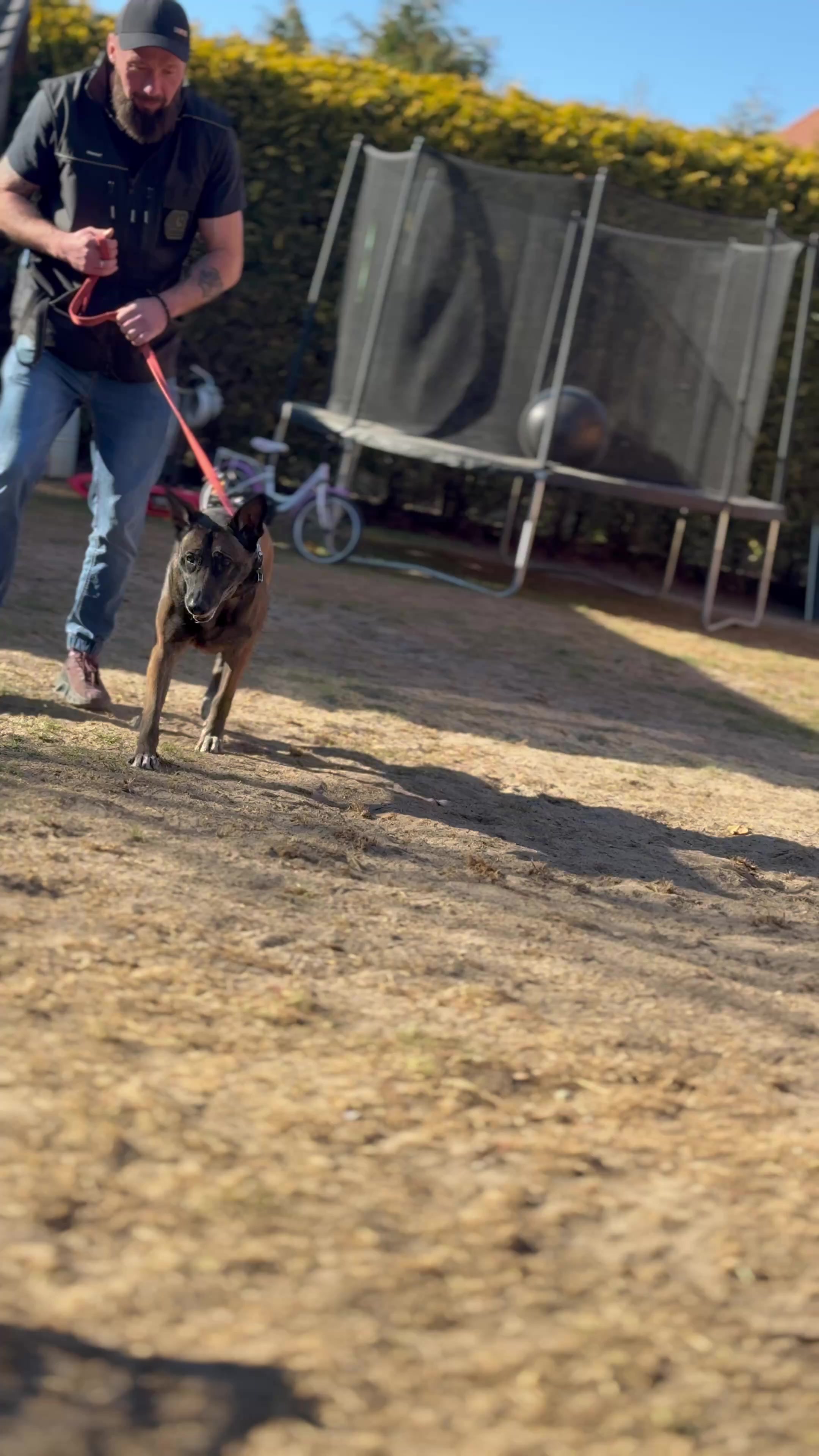 @k9spartan
