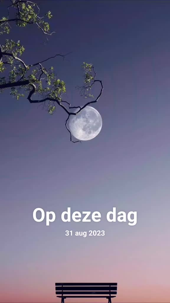 @Rita de Korte