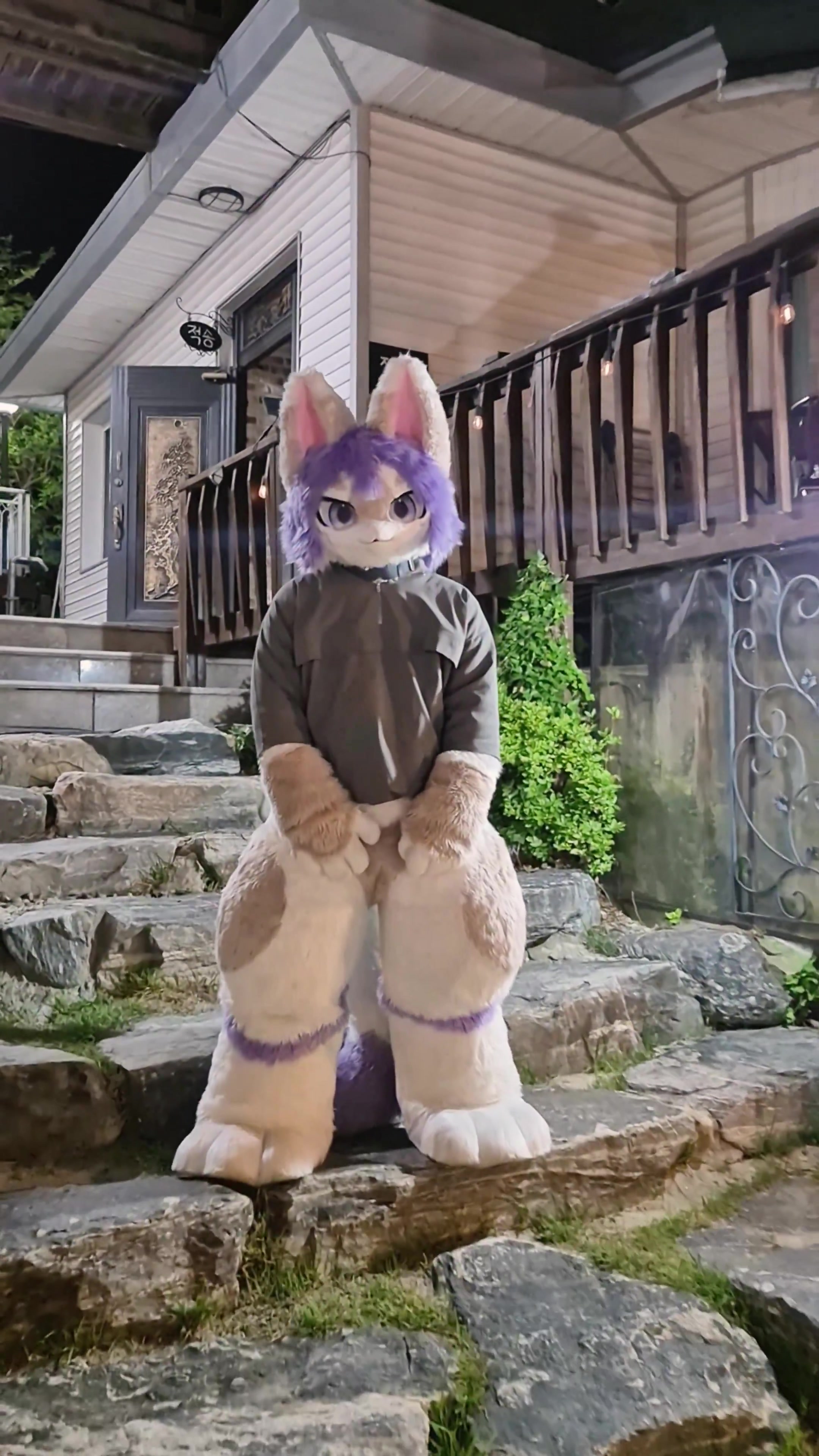 @radywolf