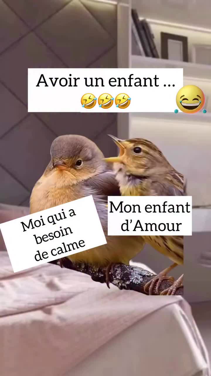 @Antoine