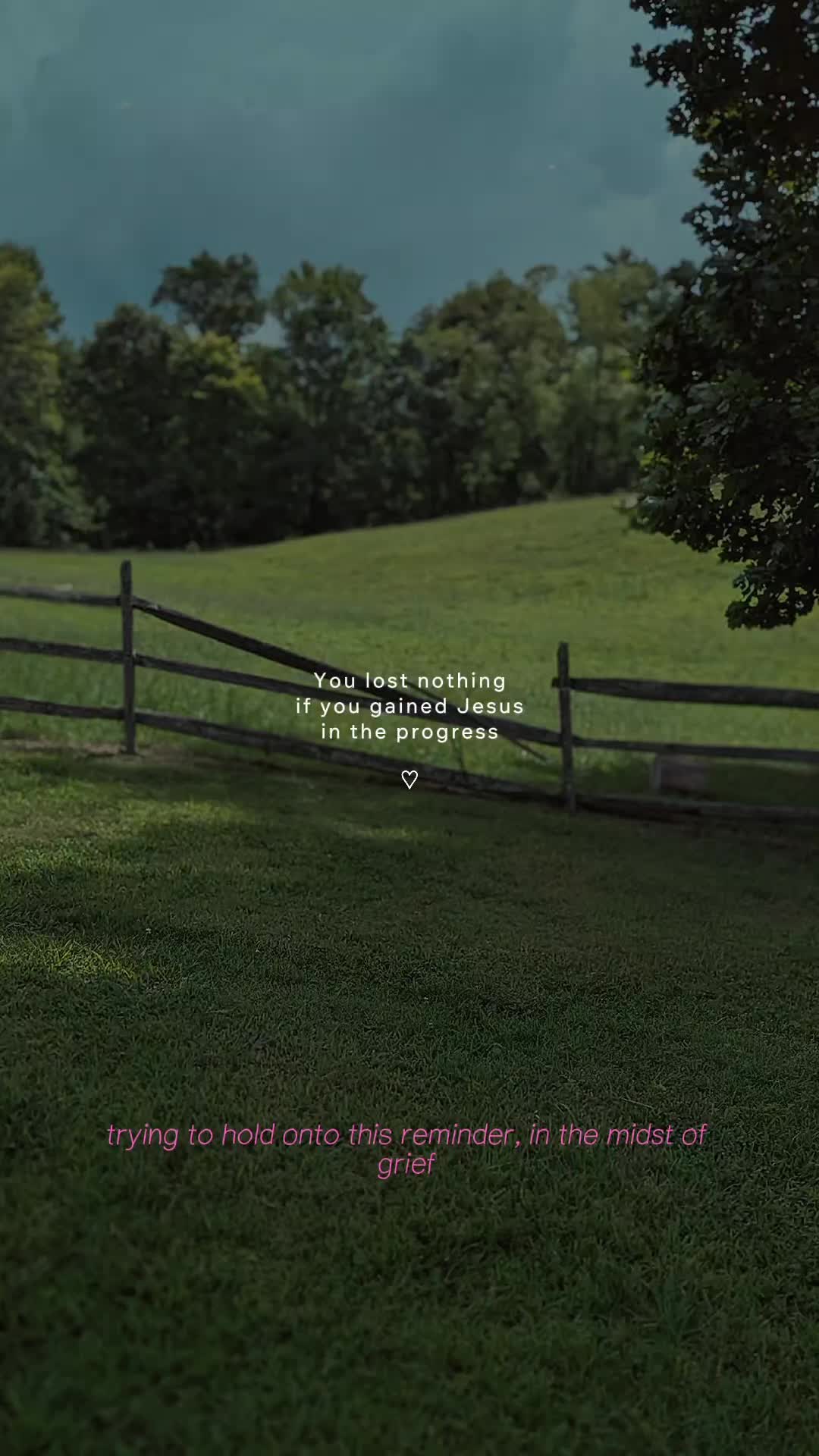 @~𝒦𝒶𝓉 ~