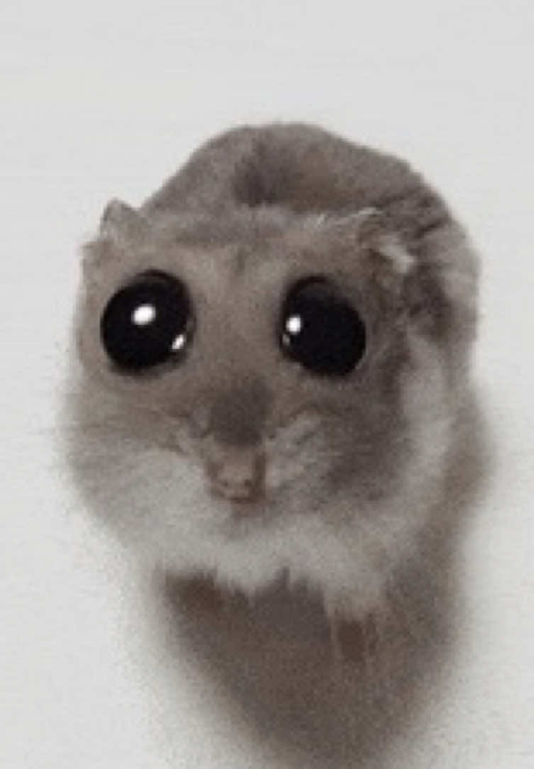 @Emily <3