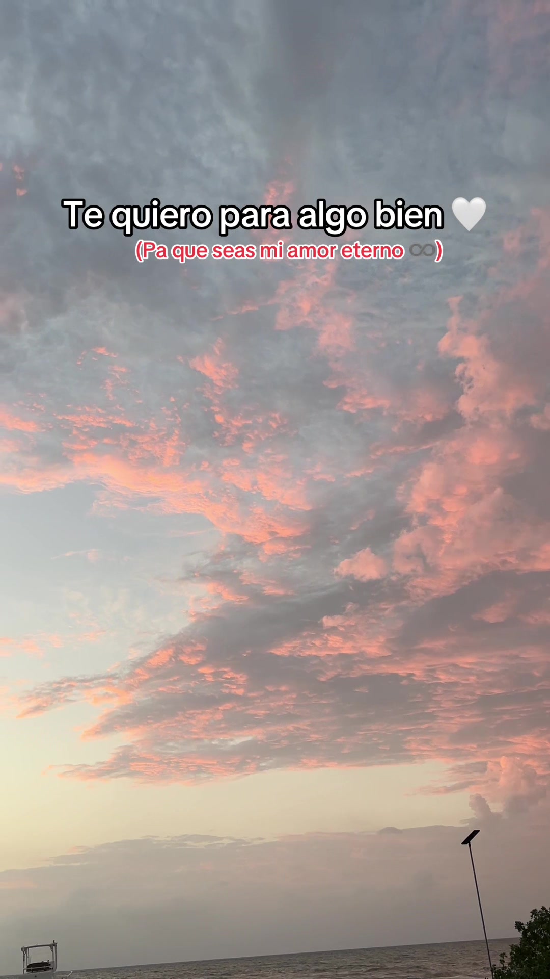 @Mariana Gil