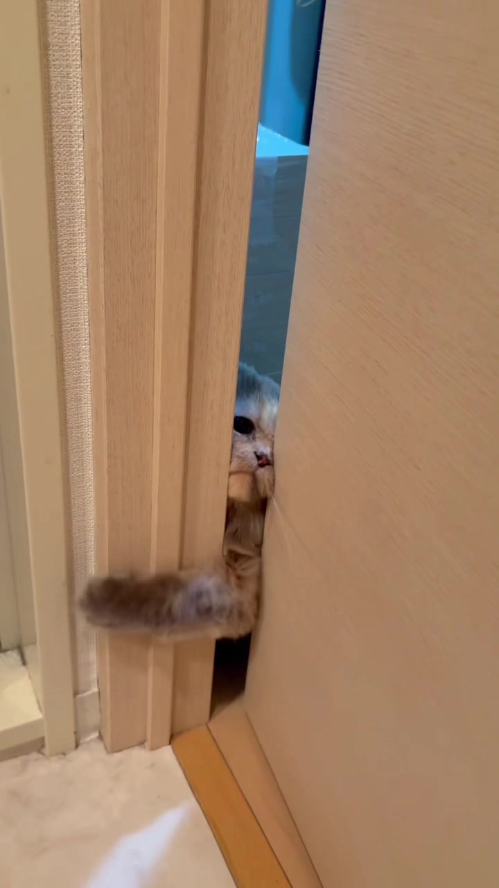 @マイクワゾウスキー