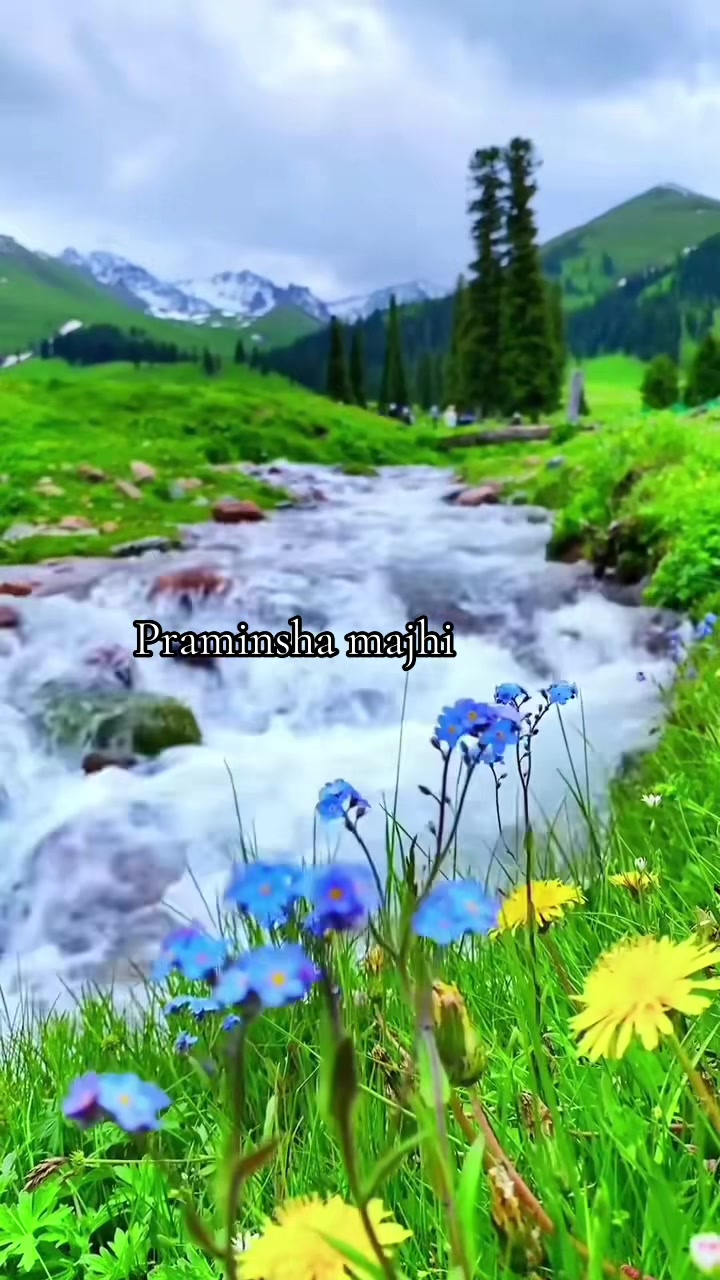@angelmajhi5