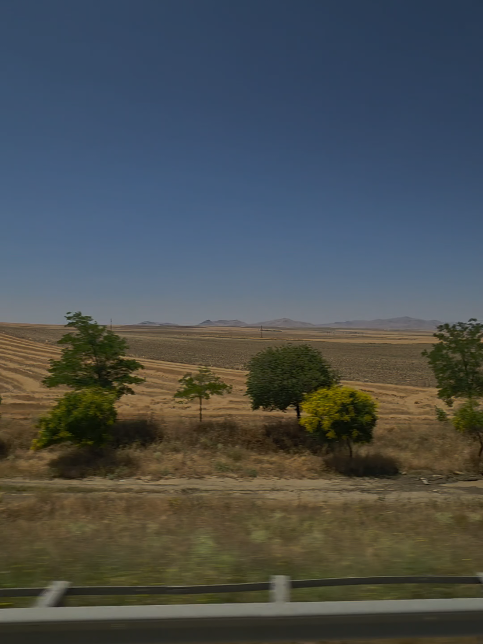 @xgkurdî.05