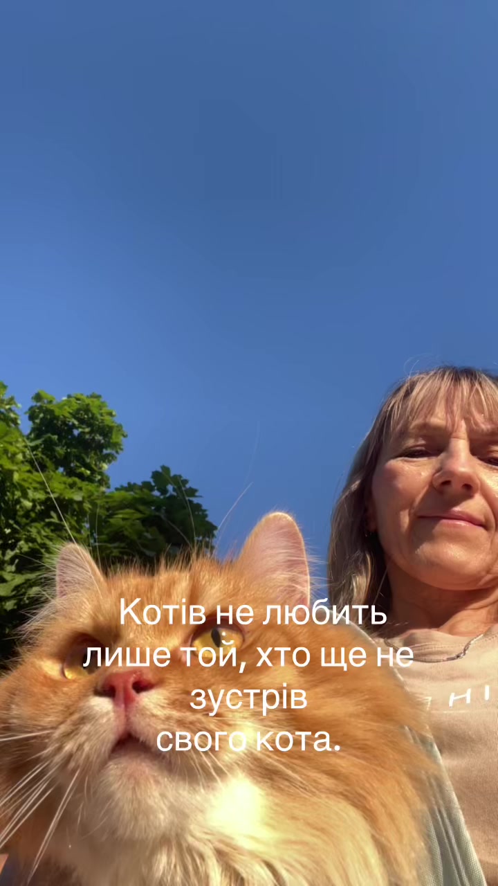 @@belirinka