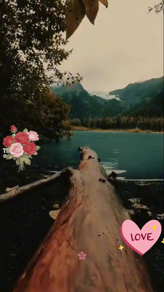 @Sanegish11