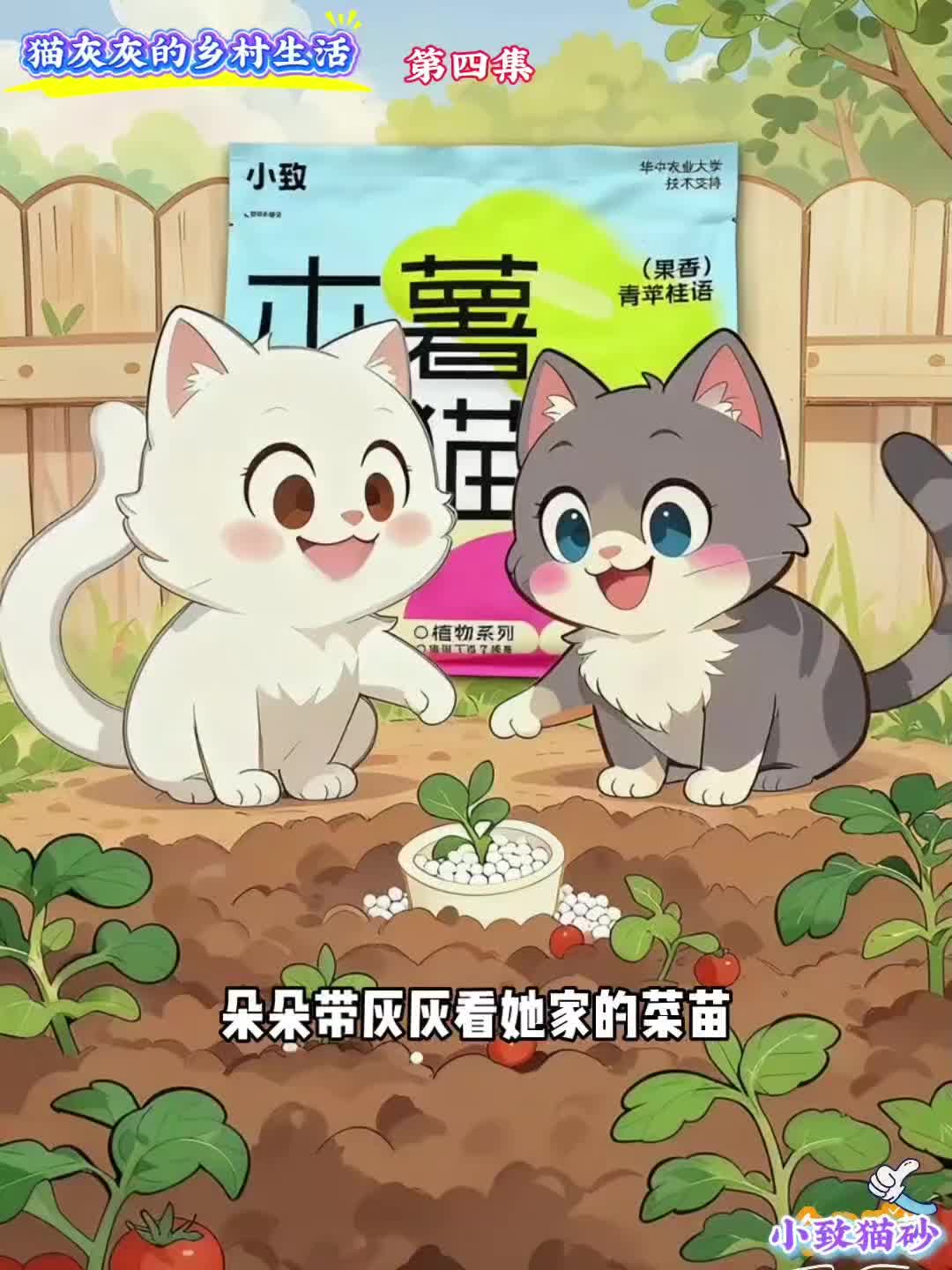 @小致猫砂国内外招代理商