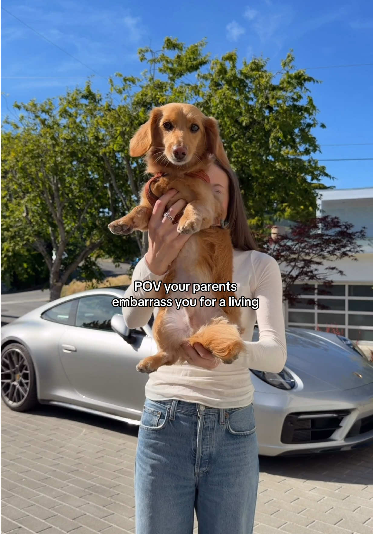 @cashewdachshund