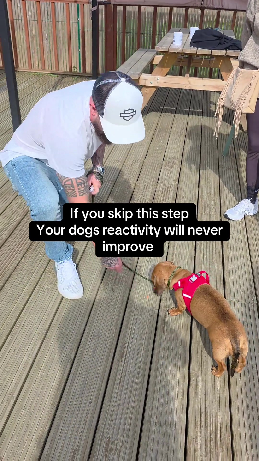 @SouthendDogTraining