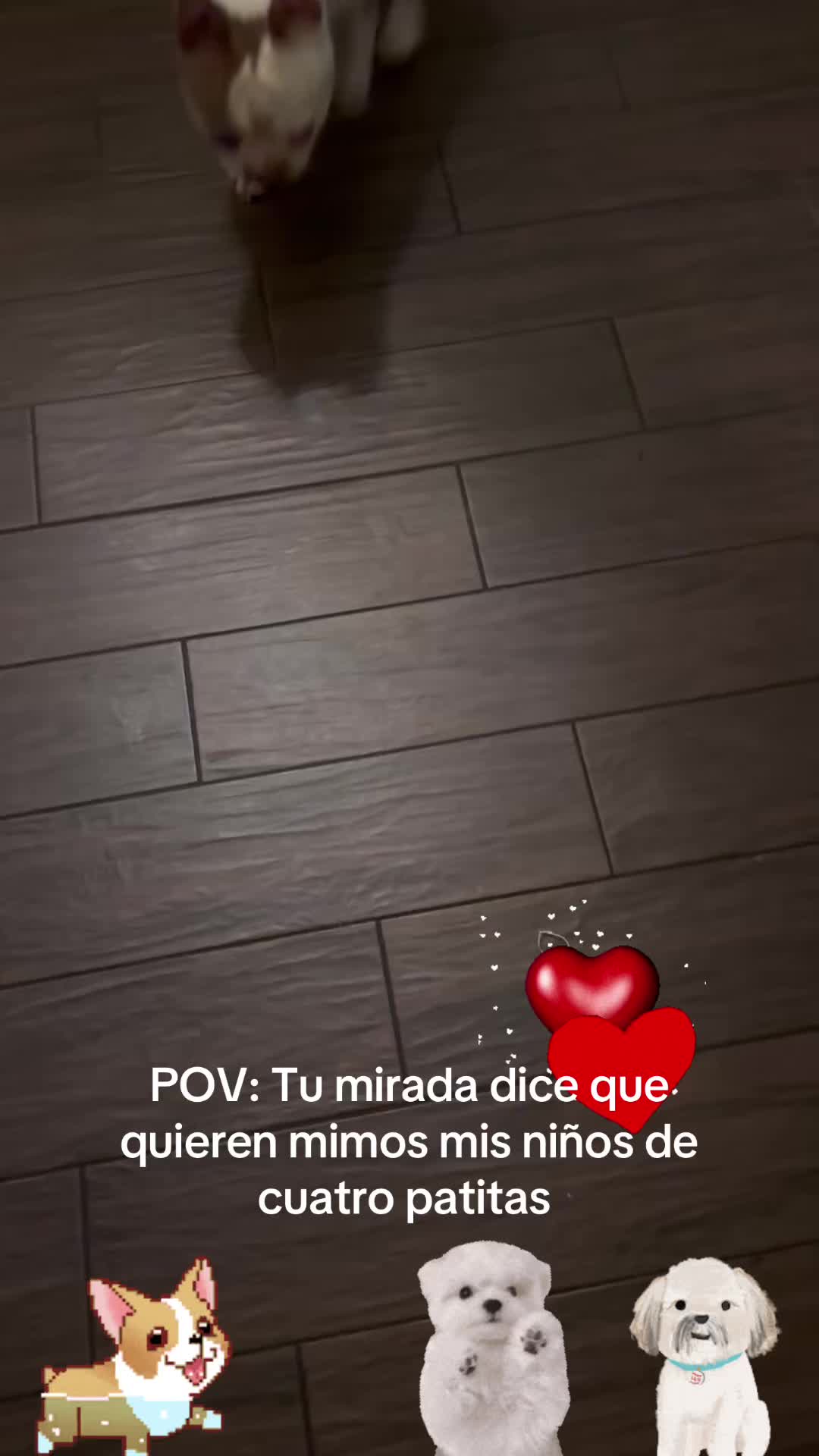 @los3huevertos