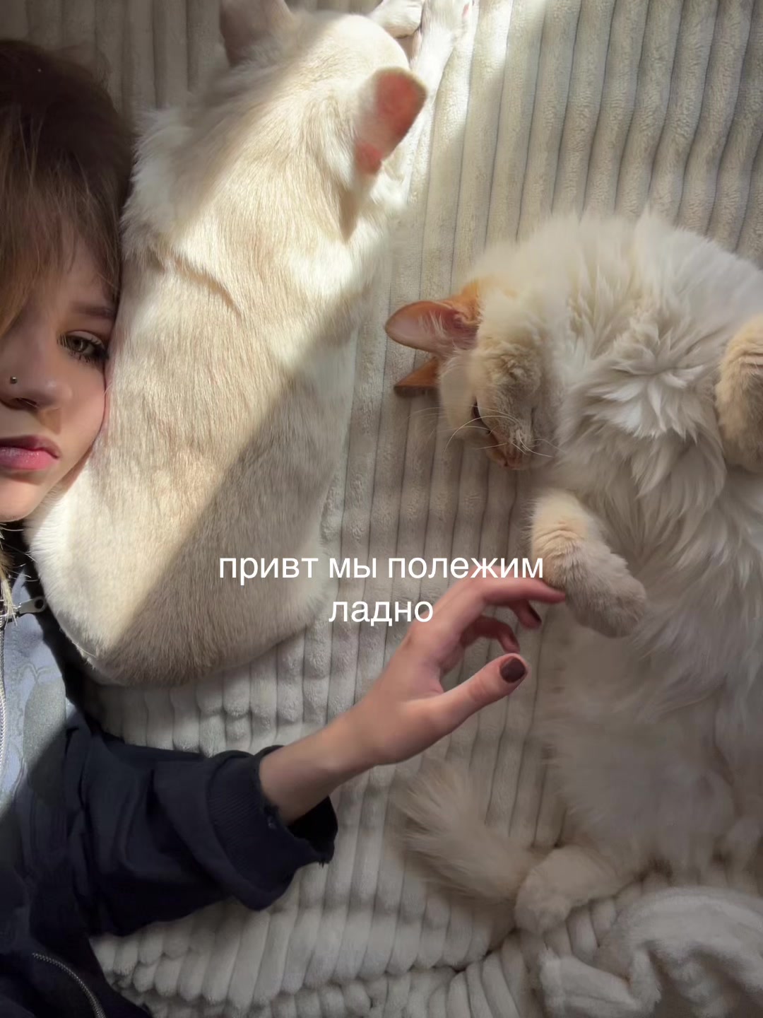 @Дринккью
