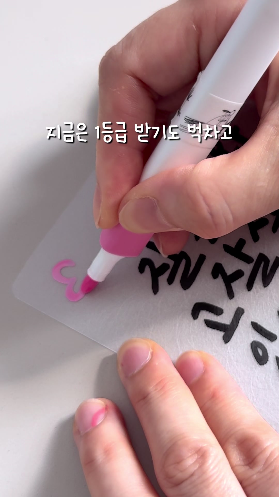 @이느낌 작가ㅣ이느낌 꽃과캘리