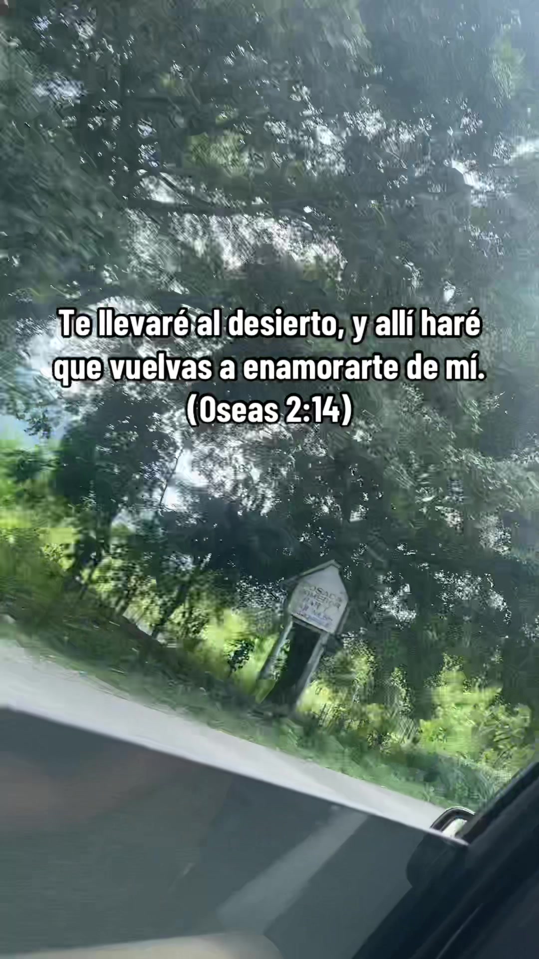 @Salinas14