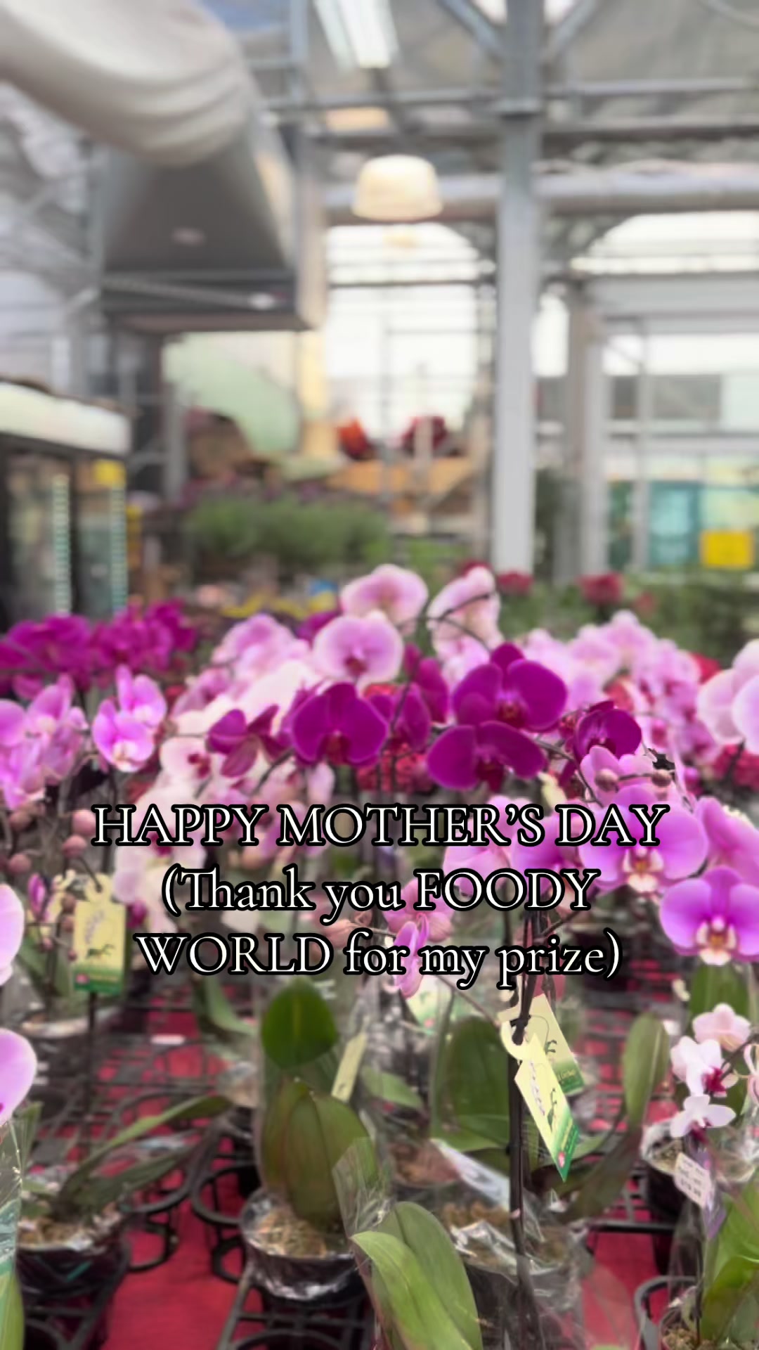 @Chocoviv (LIXIE DUST)