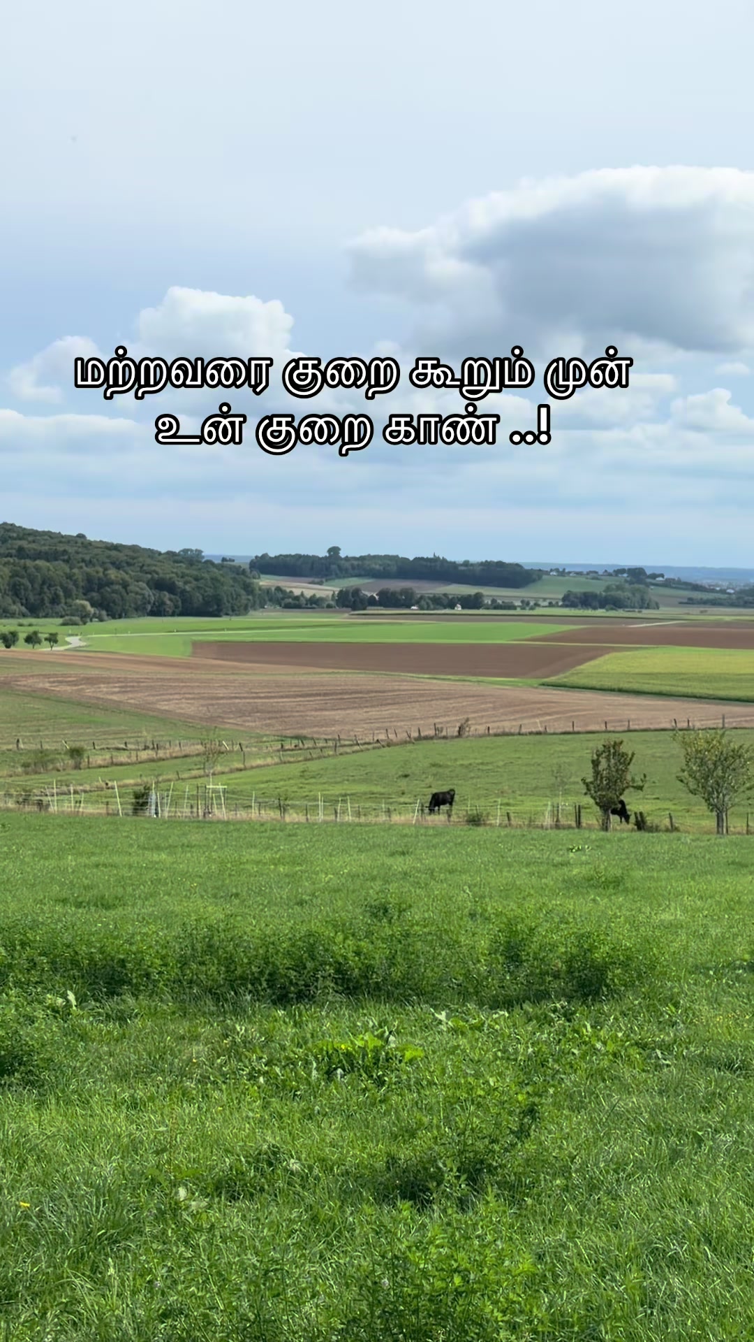 @kirus -6