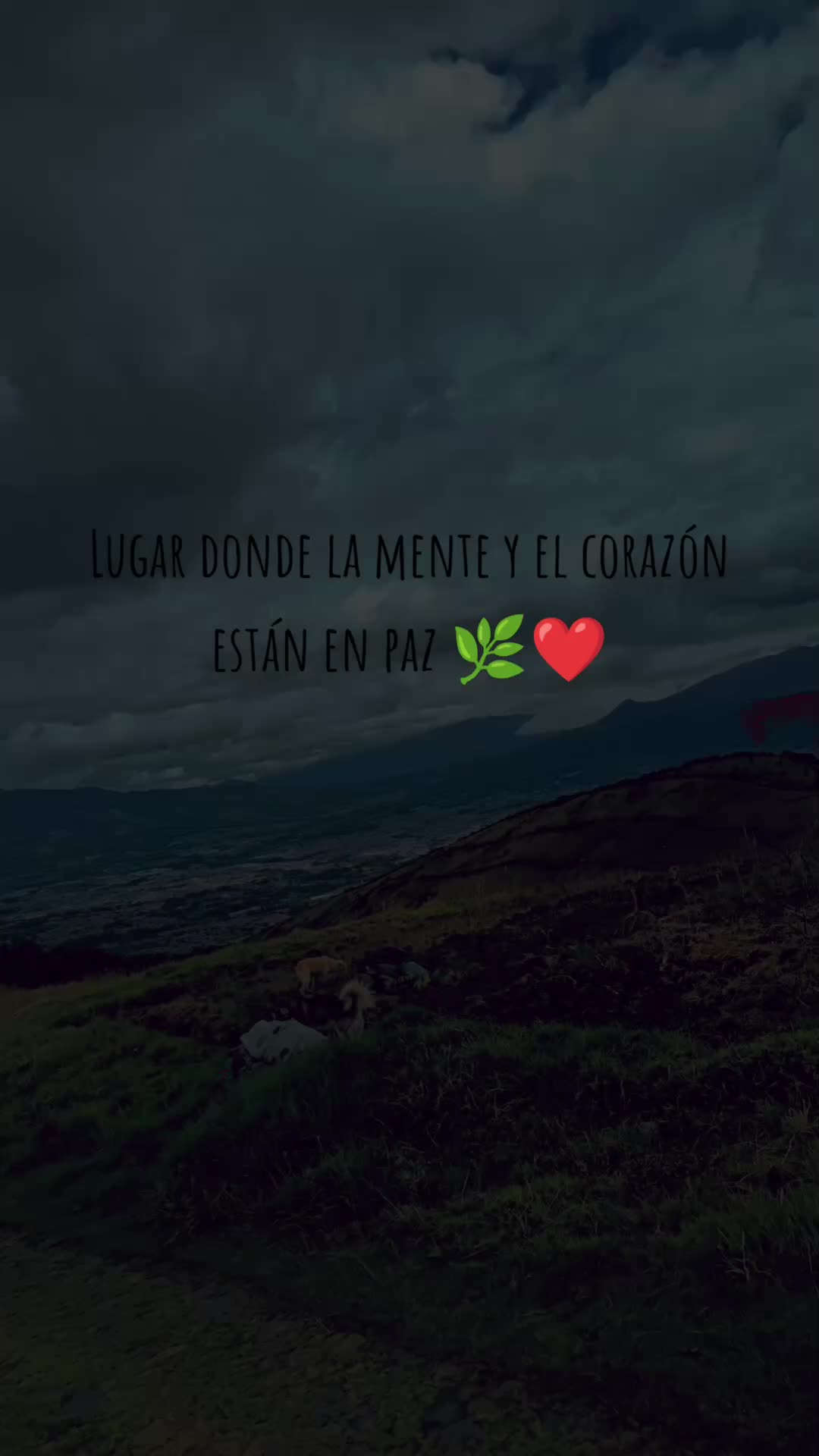 @AMYI♡