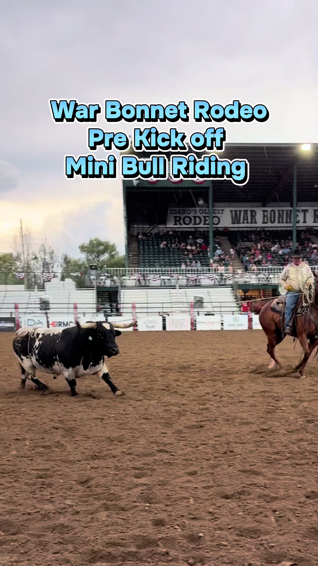 @knoxrodeo