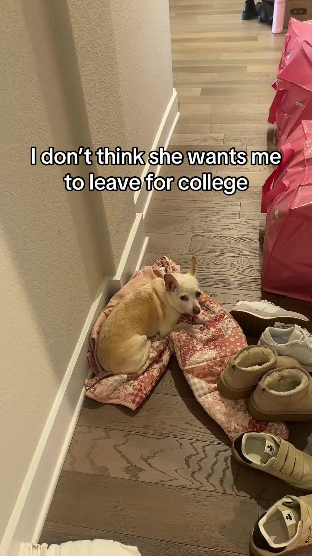 @karolina 🪷