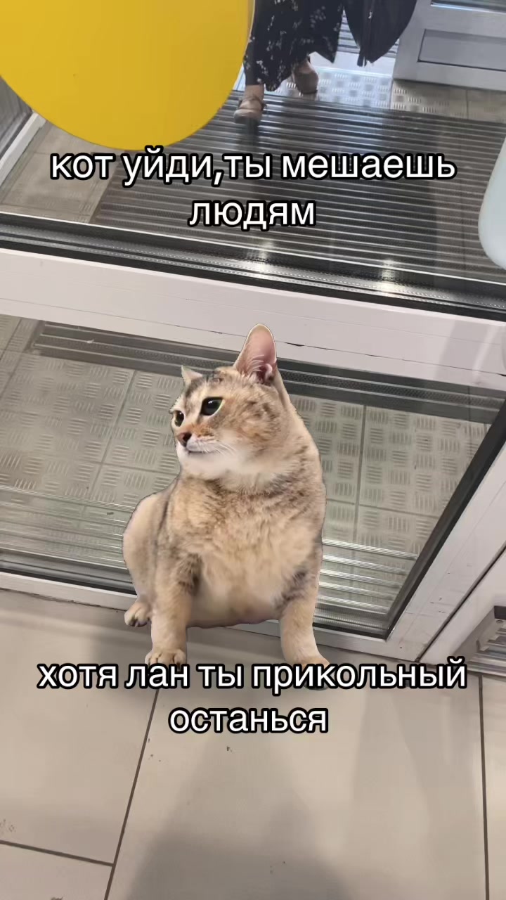 @ad0rqpi