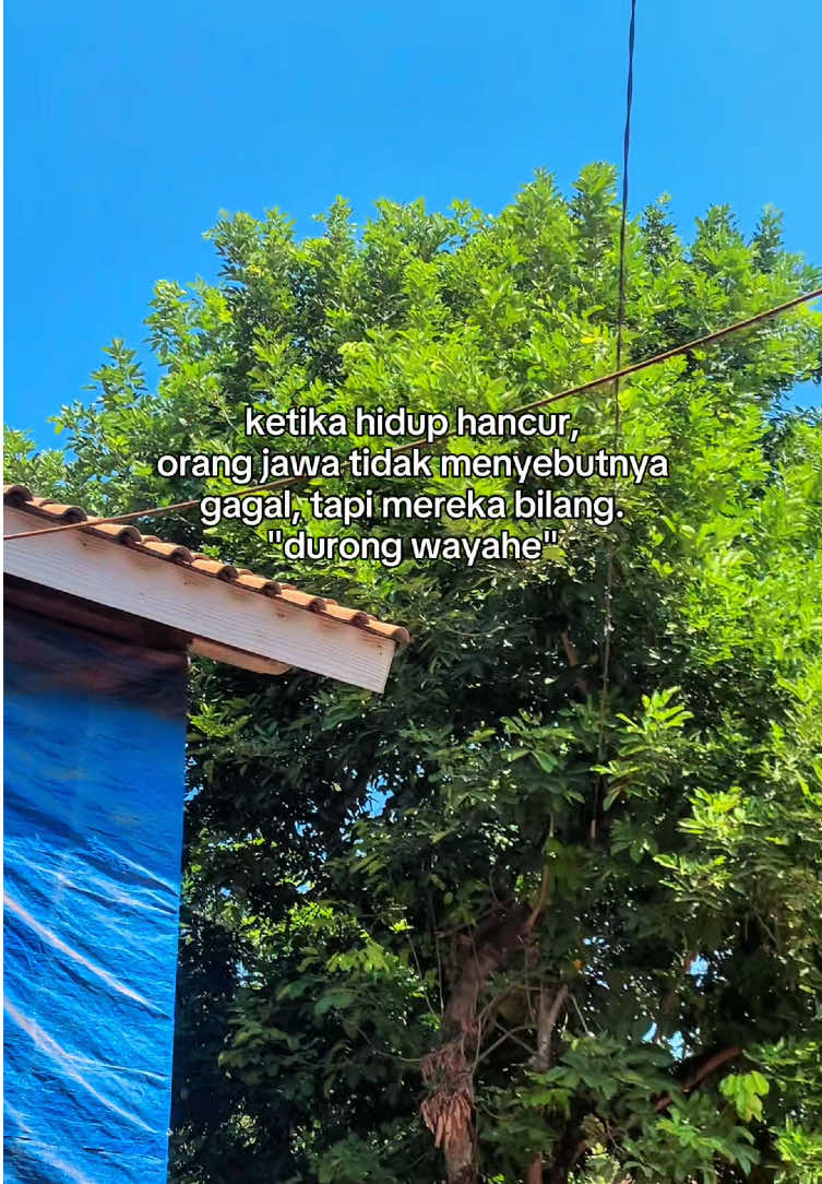 @AMA FURNITURE JEPARA