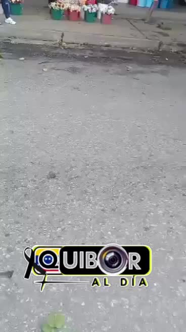 @Quiboraldia