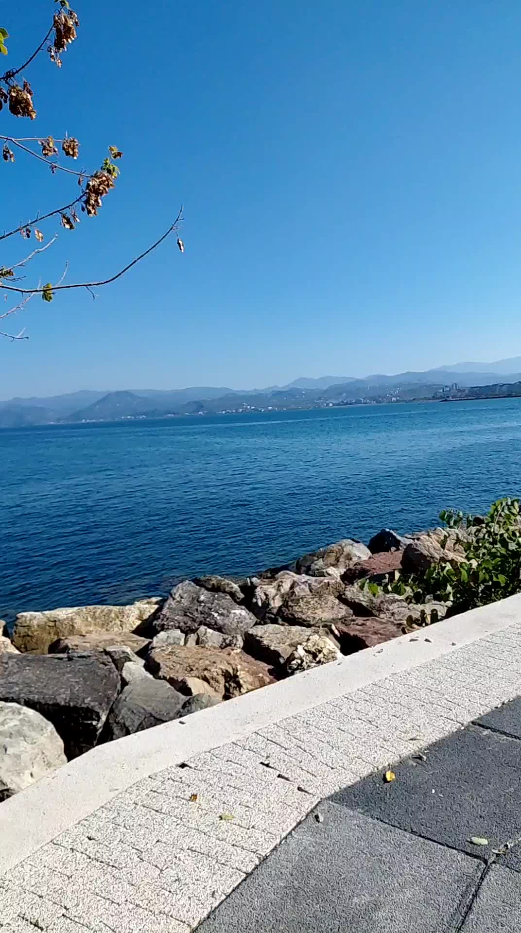 @Gül ÇebiÖzel