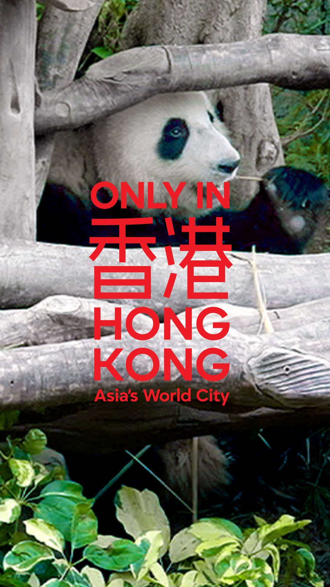 @DiscoverHongKong