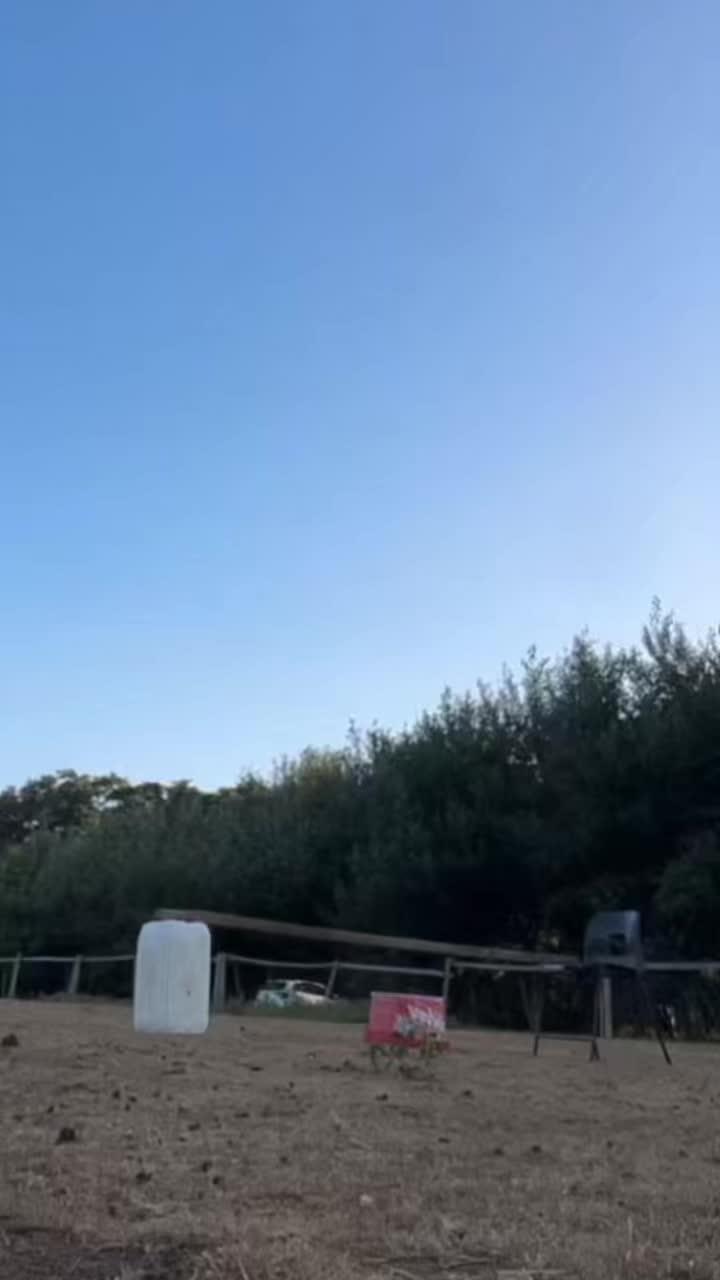 @kiki_and_kicks