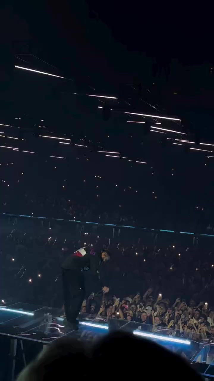 @🦉 drake