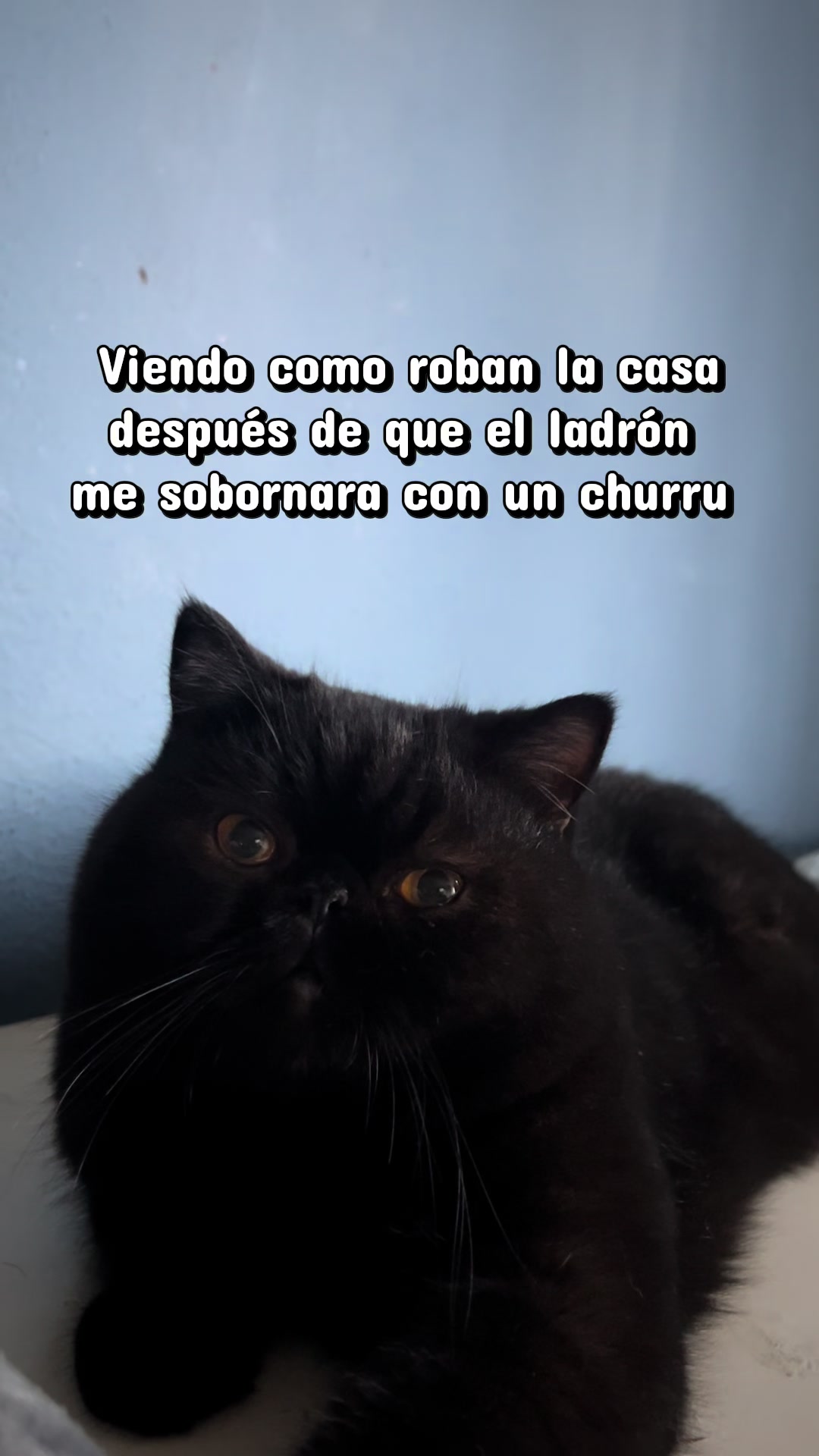 @Chat&Oro
