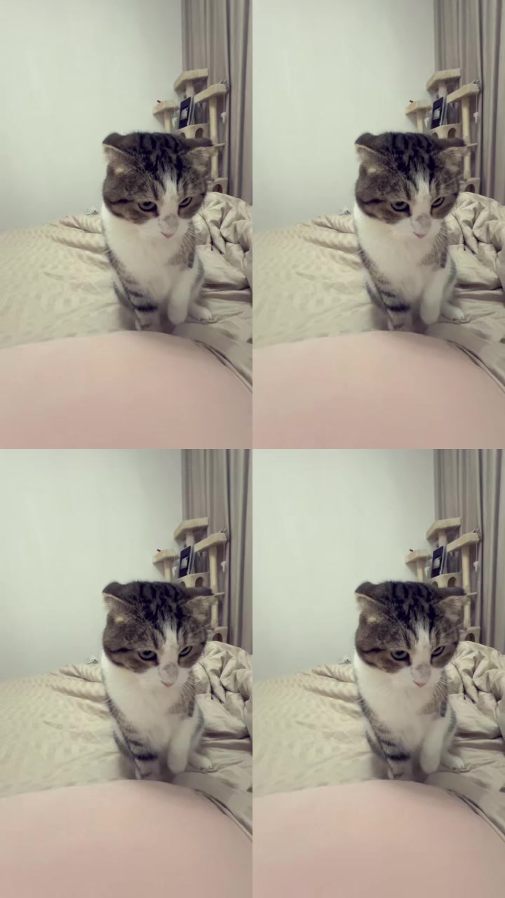 @๐ฉทโโAii Kooh@15โโ๐ฉท